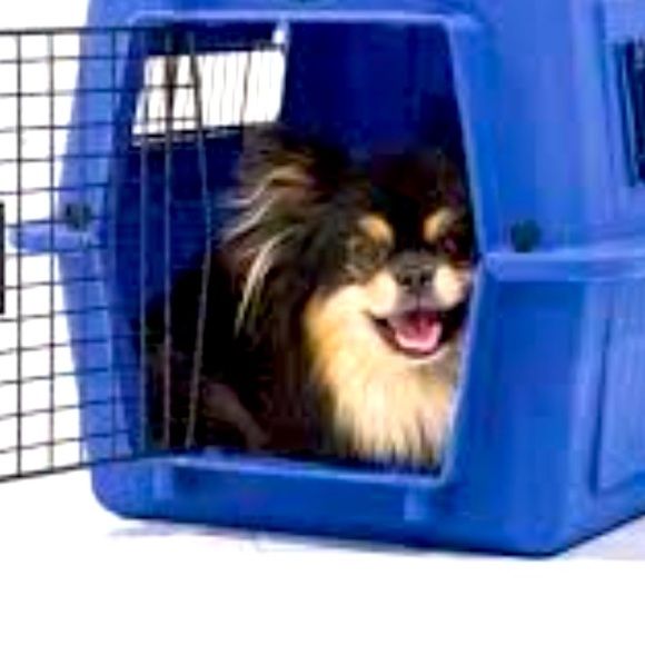 🐶 ✈️ 🐶 •🏆 Contico Deluxe Traveler 🏆• 🐶✈️🐶